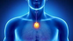 Grasica - funkcje, choroby (zespół di George'a, miastenia, grasiczak)