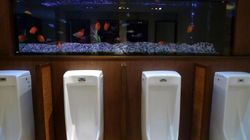 Nietrzymanie moczu u mężczyzn (prezentacja edukacyjna)