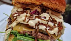 Burger z robakami trafił do oferty popularnej sieci. W komentarzach zawrzało