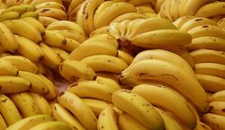 Zjedz codziennie jednego banana. Na efekty nie będziesz długo czekać