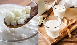 Domowy kefir – jak zrobić zdrowy i pyszny napój probiotyczny w swojej kuchni