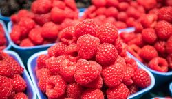 Pojawiły się pierwsze polskie maliny. Cena przyprawia o zawrót głowy