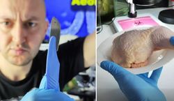 Wziął udko z kurczaka pod mikroskop. Obrzydliwe, co na nim znalazł