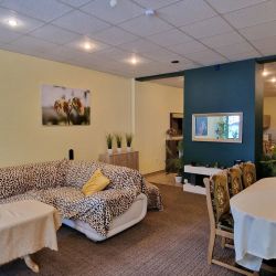 Apartament w Rynku 