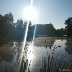 Pokoje Na Stawach Stryszów
