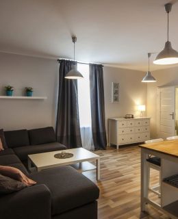 Apartament Aleksander Łódź.