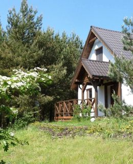 Domek w Sosnowym Lesie - Sauna