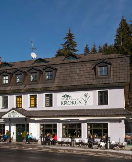 Hotel KROKUS Pec pod Sněžkou II