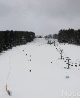 Villa Neve Ustrzyki Dolne