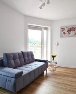 Blue Apartament & Office Kudowa Zdrój