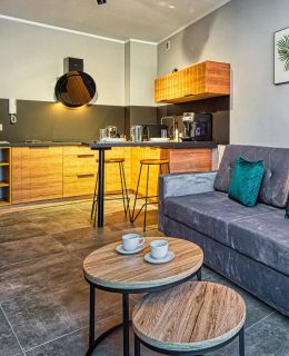 Apartament Studio Holiday Mountain Residence - 5D Apartamenty Świeradów-Zdrój
