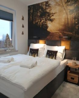 Apartament Zaczarowany Las - 5D Apartamenty Świeradów-Zdrój