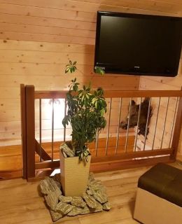 Domek Gniewnik Pcim