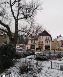 Apartament Rodzinny Hana Kudowa-Zdrój