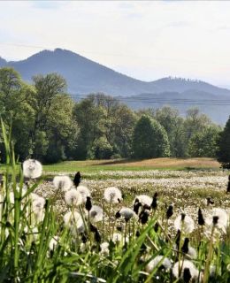 Domek Słoneczne Wzgórze Mniszków