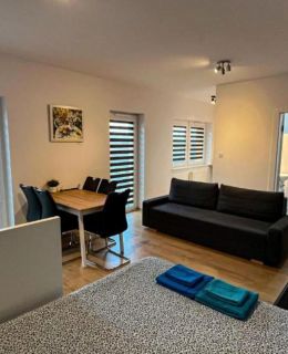 Apartament Lublin Centrum "Ice Cat"