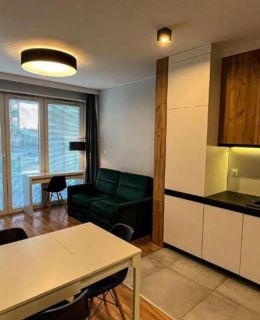Apartament Lublin "Cyprus Cat"