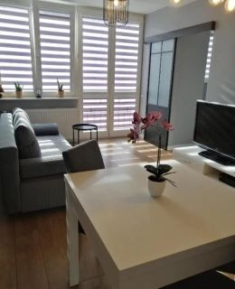 Apartament w Centrum Szczecin