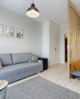 Apartament Gdańska Street Łódź by LookAp