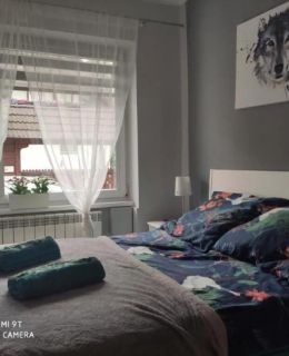 Apartament Tygrys Zakopane