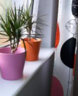 Apartamenty Sedinum - Brama Portowa