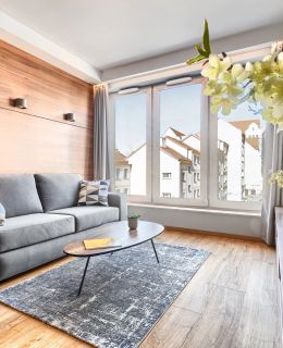 Park Apartment Old Town