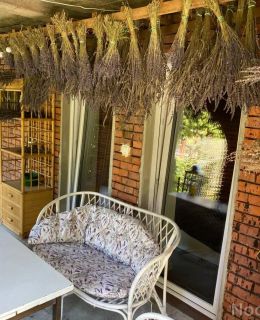 Lawendowa Przystań Sandomierz