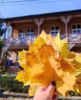 Nikifour, apartament nad deptakiem Krynica-Zdrój