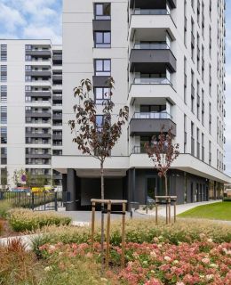Korfantego 97 | Stylowy Apartament | Parking Katowice