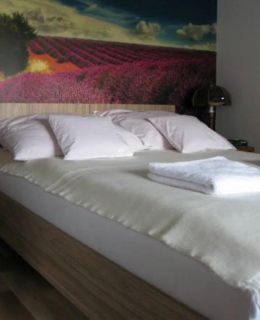 Apartament Lawenda Rzeszów