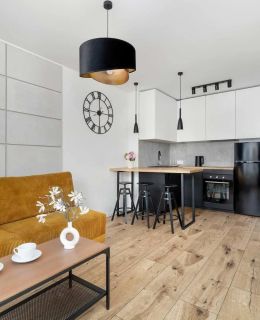 Kościuszki 31B | Elegancki Apartament | Centrum Katowice