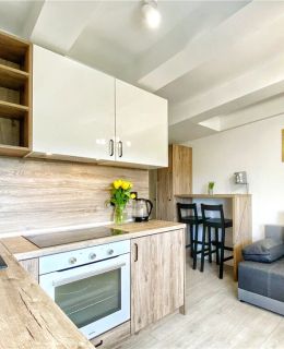 BP Apartment Złoty Zielony Granatowy Toruń