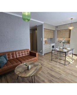 Apartament Zimowy Rentoom Toruń