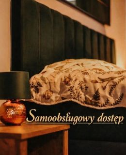 Apartament Hallera Chełmno