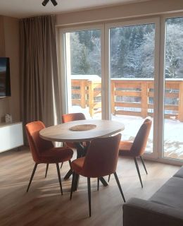 Apartament Black Hill GINGER blisko Zieleńca