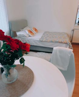 Apartament Centrum Kudowy wygodne lokum, parking Kudowa-Zdrój