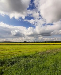 Nasze Podlasie