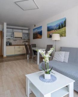 Apartamenty Sun & Snow Centrum Zakopane 18B/7