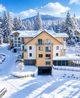 MSPro K17 Mountain and City Apartment Szklarska Poręba
