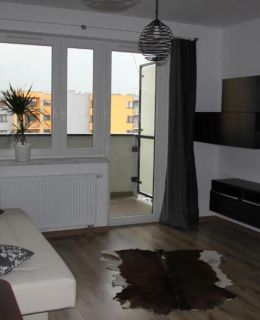 Apartment Wielicka Cracow