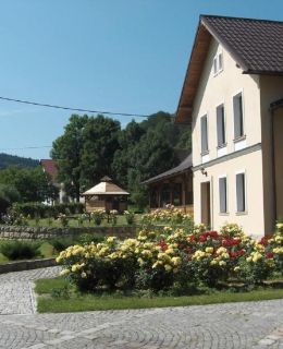 Hajduk Apartment