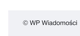 WP Wiadomości