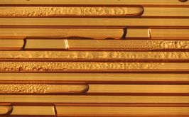 Poliwęglan komorowy - czym jest i jakie ma zastosowanie?