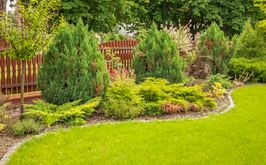 aranżacja ogrodu przy płocie