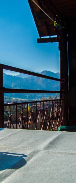 Dom na Zielonym Wzgórzu