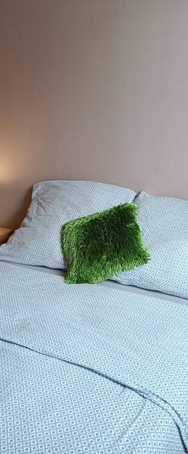 Willa Róża - 1 km od Energylandii