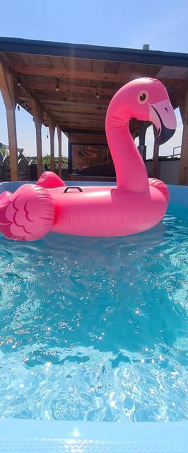 Domki nad morzem Posejdon - polecamy!