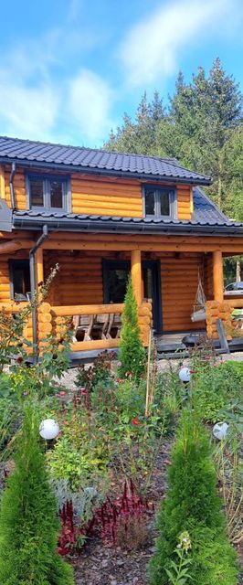 Domki nad jeziorem Silec z własną linią brzegową