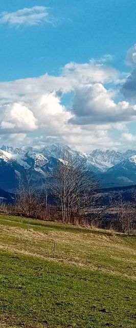 Pokoje Gościnne Rzepka 