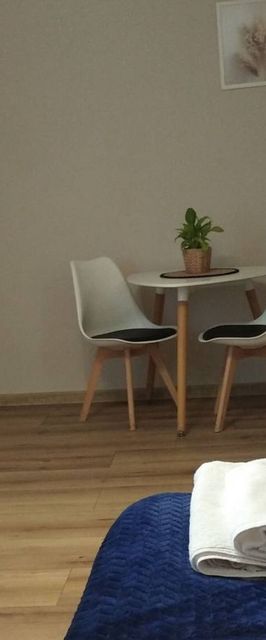 Gołuchów Noclegi Pod Lipami 